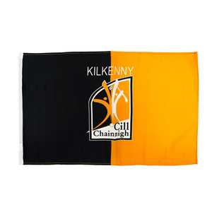 Gaa Hurling Gaelic Bán Buôn Đặc Biệt Polyester Tùy Chỉnh 12X18Inch Trống Thăng Hoa Xe Cờ Cho Cửa Sổ Với Cực Nhựa - Product Image 2