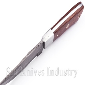 Cuchillo de Caza y Desollado de Acero de Damasco con Mango de Madera y Punta Caída, 10 Pulgadas de Longitud Total, Garantía de 3 Años, OBM Disponible (Smk1357) - Product Image 3