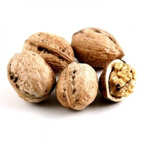 Best Price <strong>Common</strong> <strong>Walnut</strong> Nuts Top Class <strong>Walnut</strong> Kernels Dried Style Raw <strong>Walnut</strong> From California - Product Image 6