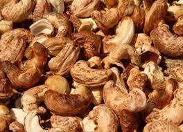 Poudre de coque de noix de cajou / coque de noix de cajou en provenance du Vietnam - HELEN +84374288086 - Product Image 2