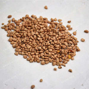 Aceite Portador de Semillas de Guayaba (Psidium Guajava) Prensado en Frío, Certificado GMP, Alta Calidad, Origen India, Amarillo Pálido/Incoloro, Sin Olor Grasoso - Product Image 1