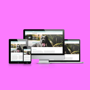 Logiciel de féminines de supermarché, meilleure qualité, pour amérique du nord-inde, accès internet - Product Image 1