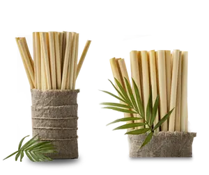 畅销越南散装可生物降解竹吸管一次性圣诞空间潘通休闲