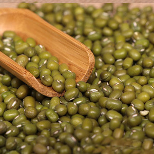 Haricots Mungo Verts Séchés de Haute Qualité / Haricots Moong Entiers Moong Dal Aliment Vert en Gros à Prix de Gros - Product Image 4