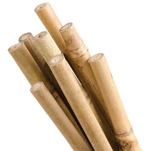 4 piquets de bambou 100% naturels, canettes en bambou naturel à prix bas du Vietnam ec2go - Product Image 5