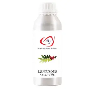 Parfüm flavand ve Aroma için organik Lentisque yaprak doğal koku yağları