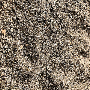 . Déjeuner au thème du tournesol, plat - Product Image 1