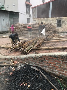 แกนหวายสานอ้อยธรรมชาติสำหรับปลูกต้นไม้แบบ EVN115 - Product Image 3