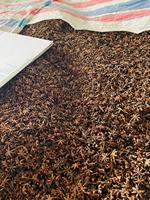 Hoge Kwaliteit 100% Vietnamese Lente Herfst Steranijs Rauw Gedroogd ISO 22000:2018 Gecertificeerd Agrikim Merk Gratis Monster