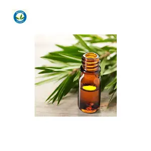 Global Demand on Best Quality Natural Tea Tree Essential Oil from Top Supplier