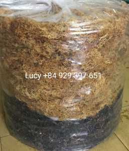 Bahan Baku Mentah untuk Membuat Lumut Laut Gel/Lumut Laut Alami untuk Ekspor/Grosir Eucheuma Cottonii Lumut Irlandia Lucy + 84 929 397 651