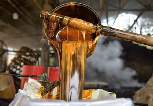 MELAS DE CAÑA DE AZÚCAR CON ALTO BRIX//WhatsApp: Sra. Pinky (+84) 35 9268 345 - Product Image 5