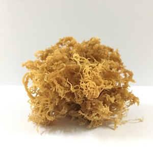 Offre spéciale d'août Mousse de mer dorée du Vietnam Mousse de mer séchée pour la beauté Processus de séchage publicitaire Produit de Mme Mary - Product Image 5