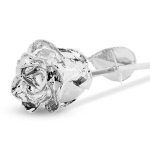 Elegant Silver Plated Natural Rose - Product Image 2