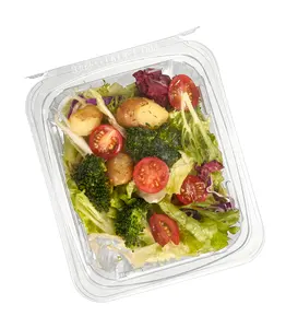 Disposable Hinged Lid Food Container Fruit Takeaway Clear Plastic Box Rip Off Seal PET TAMPER-EVIDENT Fruit Packaging Box