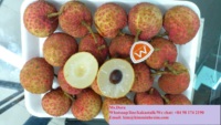 Premium Kelas organik Vietnam leci segar manis mencicipi buah terlaris untuk aplikasi makanan