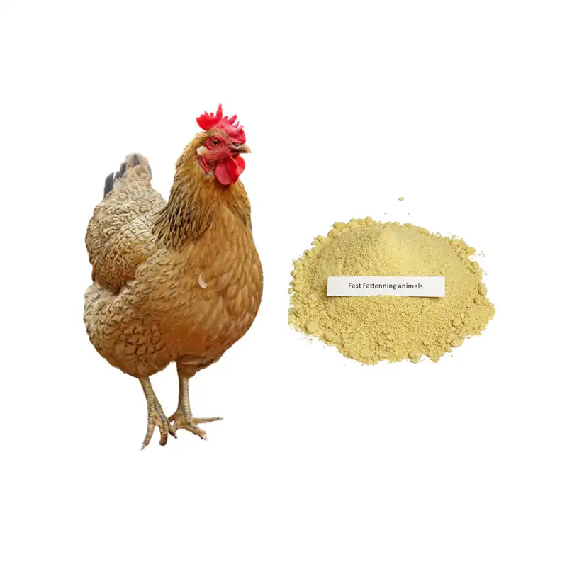 Frühes vor gemischtes Mischfutter für Broiler Huhn vor gemischt