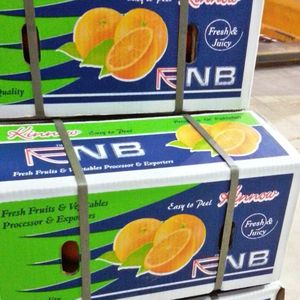 Kino Orange Mandarin (Naqshbandi Enterprises Pakistan) - Product Image 2