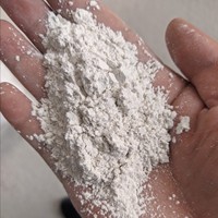 Bubuk Batu Kapur Berkualitas Tinggi untuk Pakan Ternak Kemurnian Tinggi Kalsium 80/250 Mesh 50kg Kantong PP Garansi 5 Tahun Penggunaan Rumah Tangga Putih SHC