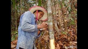 ผงจัส/ วัตถุดิบผงจัส - Product Image 5