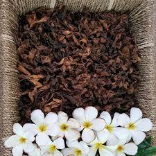 Popeline séchée, frangipanier, haute qualité/prix très bon marché - Product Image 6