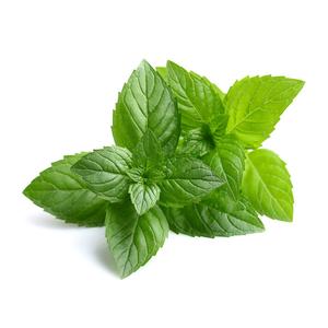 Huile essentielle de menthe poivrée biologique personnalisée, certifiée GMP, distillée à la vapeur, options OEM/ODM, étiquette privée pour l'aromathérapie - Product Image 1