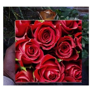 Designer de femmes indiennes à la main épaule perlée embrayage Messenger sacs Style bohème soirée Boho Shopping sacs de fête-Vente en gros - Product Image 3