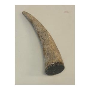 Embouts de corne de buffle d'Inde, artisanat, creux et blanc, poli, avec trou naturel - Product Image 5