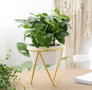 แพลนเตอร์ชุดสามการออกแบบใหม่พร้อมขาตั้ง - Product Image 5