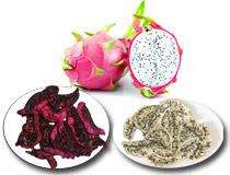 Vietnamese Supplier <b>Dried</b> Fruits -<b>Dried</b> Dragon <b>Fruit</b> Sugar Free Made From 100% Fresh Dragon <b>Fruit</b> in Vietnam/ Ms. Lima - Product Image 4