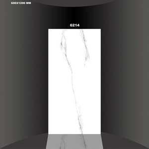 Nouvelle conception avec des carreaux de sol en céramique de couleur blanc pur 60x120cm - Product Image 1